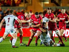 Image result for Llanelli Scarlets Team