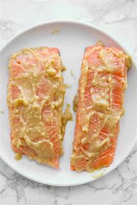 Image result for Freeze Dry Food Salmon Miso