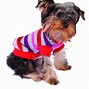 Image result for Cujo Costume for Dog