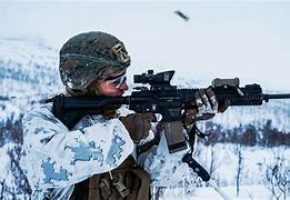 Image result for HK 416 American