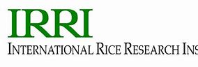 Image result for Irri Civ Logo