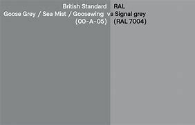 Image result for Bs00a05 Goose Grey