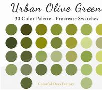 Image result for Olive Green Shades