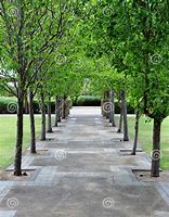 Image result for Paved Path Intersection