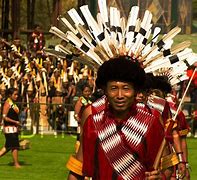 Image result for Hornbill Nagaland