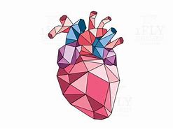 Image result for Geometric Anatomical Heart