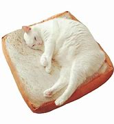 Image result for Bread Loaf Cat Bed