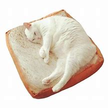 Image result for Bread Cat Bed