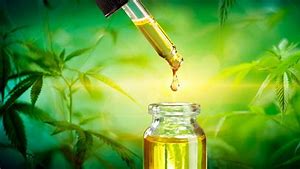 Image result for Hemp Oil Mixed with Grape Seed Extract