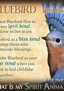 Image result for Predation of Birds Symbol