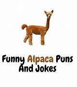 Image result for Alpaca Jokes