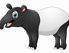 Image result for Tapir Cute