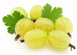 Image result for Images of Gooseberry