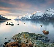 Image result for Arctic Nature