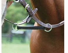 Image result for Martingale Tack