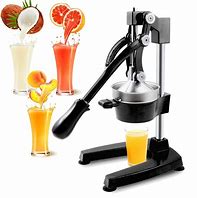 Image result for Citrus Juice Press