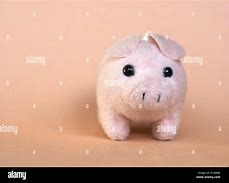 Image result for Pink Pig Toy