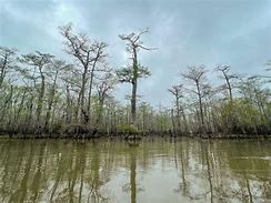 Image result for Lakes Near Beaumont TX