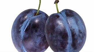 Image result for Damson Shoes