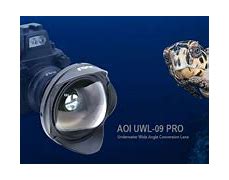 Image result for Aoi Monitor