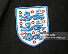 Image result for 3 Lions Badge