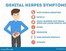 Image result for Herpes Genitalis