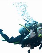 Image result for Scuba Diving PNG