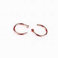 Image result for Punk Nose Ring