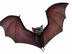 Image result for Dracula Vampire Bat