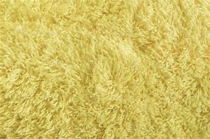 Image result for Yellow Fur Texture