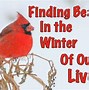 Image result for The Winter of Our Lives