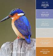 Image result for Kingfisher Blue Colour