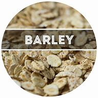 Image result for Flaked Barley