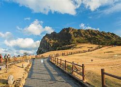 Image result for Jeju Island Tourist Spot