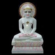 Image result for Mahavir Jain