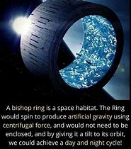 Image result for Bishop Ring Habitat