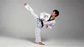 Image result for Taekwondo Face Kick