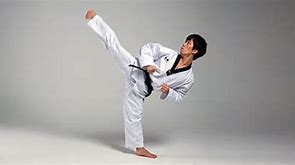 Image result for Front Kick Taekwondo