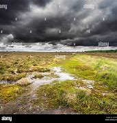 Image result for Raised Peat Bog