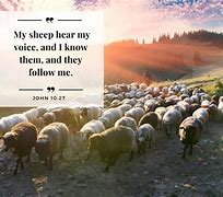 Image result for Sheep Hear My Voice Jesus