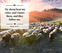 Image result for Sheep Hear My Voice