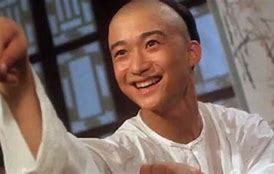 Image result for Wu Jing Action Movies