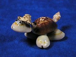 Image result for Turtle Made Out of Shells