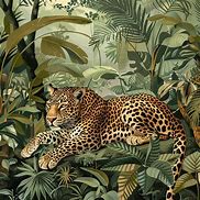 Image result for Leopard Dynamic