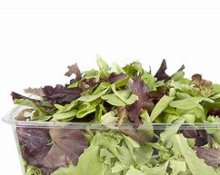 Image result for Raw Salad Vegetables List