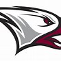 Image result for NCCU Eagle PNG