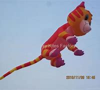 Image result for Inflatable Kite Cat