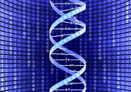 Image result for Double Helix Science