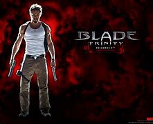 Image result for Blade: Trinity Movie