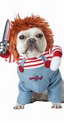 Image result for Cujo Costume for Dog